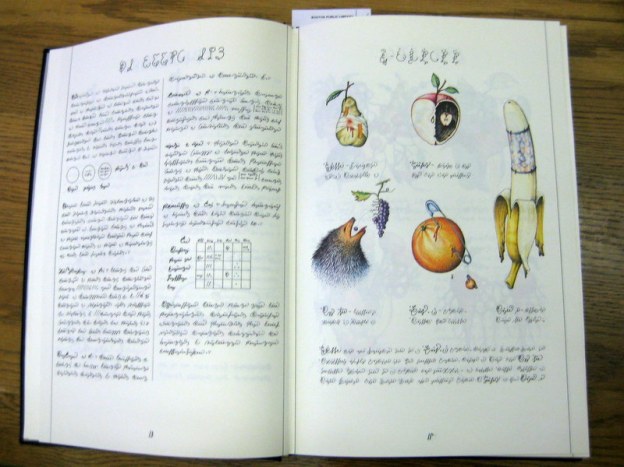 Codex page with illustrations
