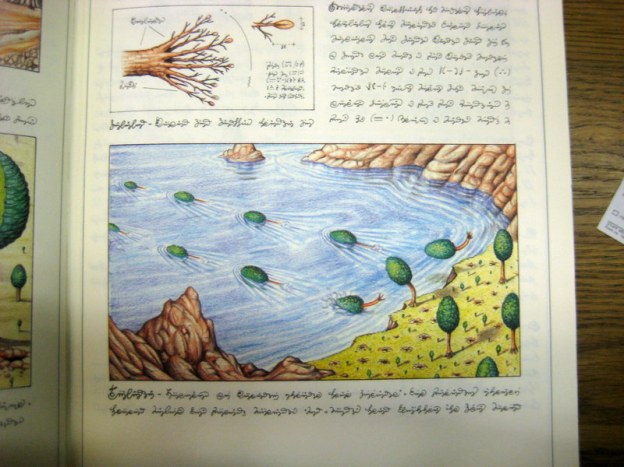 Codex page with illustrations